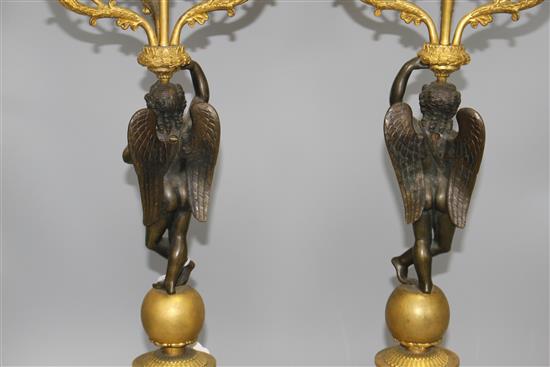 A pair of 19th century French bronze and ormolu candelabra, with scrolling branches, cherub stems and foliate scroll bases, height 58cm